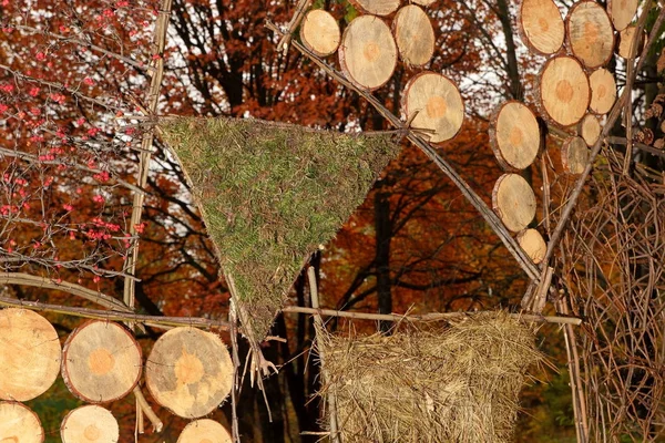 Wooden circles hanging on a tree, art design made of wooden circles, wooden texture on a background of an autumn park