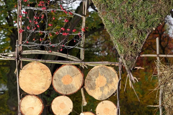 Wooden circles hanging on a tree, art design made of wooden circles, wooden texture on a background of an autumn park