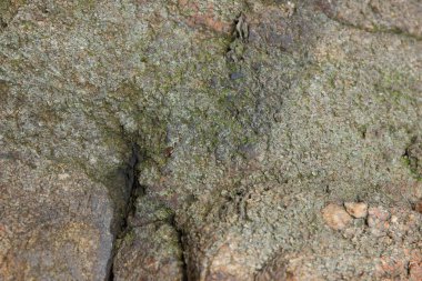 Granit, Soyut doku, taş, kayalık arka plan, tasarımcı, taş duvar kağıdı, granit duvar, çok renkli granit, Minimalizm, sanat için doğal desen doku