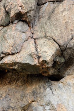 Granit arka plan, taş, soyut taş doku, çevre sorunları, tektonik plaka kırık, deprem sonuçları, bitkilerde Granit kayalar içinde çatlaklar