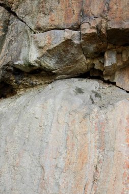 Granit arka plan, taş, soyut taş doku, çevre sorunları, tektonik plaka kırık, deprem sonuçları, bitkilerde Granit kayalar içinde çatlaklar