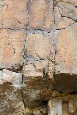 Granit arka plan, taş, soyut taş doku, çevre sorunları, tektonik plaka kırık, deprem sonuçları, bitkilerde Granit kayalar içinde çatlaklar