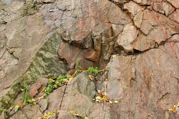 花岗岩背景 石材中的植物 抽象的石材质地 环境问题 构造板块断裂 地震后果 花岗岩岩石裂缝 — 图库照片