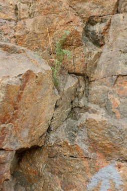 Granit arka plan, başka bir gezegenden, Mars yüzeyinde doku, taş dünya dışı yaşam, granit, gelecekten gelen doku, minimalizm, tasarımcı, kahverengi deseni için arka plan