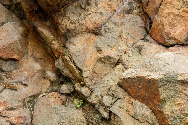 Abstrato fundo de granito, textura de outro planeta, superfície marciana, fundo de pedra para designer, padrão marrom de vida extraterrestre, granito, textura do futuro, minimalismo — Fotografia de Stock