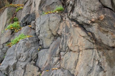 Granit arka plan, taş, Soyut taş doku, çevre sorunları, tektonik plaka kırık, deprem sonuçları, bitkilerde granit kayalar, granit desen çatlaklar
