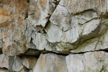 Granit arka plan, başka bir gezegenden, Mars yüzeyinde doku, taş tasarımcı, kahverengi deseni dünya dışı yaşam, granit, gelecekten gelen doku, Minimalizm, granit desen için arka plan