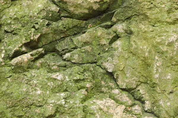 Fundal Granit Abstract Textura Altă Planetă Suprafață Marțiană Fundal Piatră — Fotografie, imagine de stoc