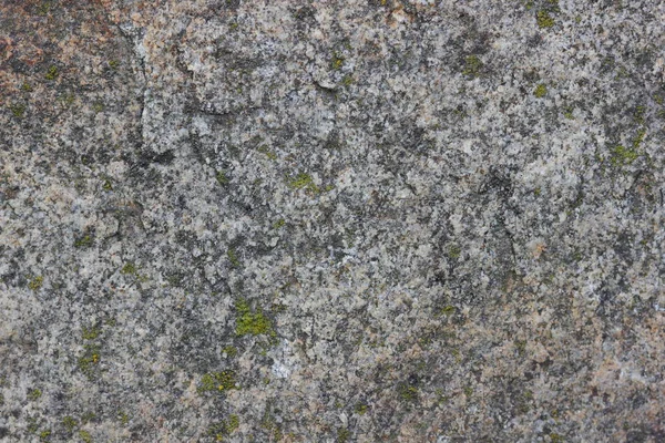 Fond de granit, texture de pierre, motif naturel, fond abstrait, texture très détaillée, minimalisme, fond de quartz gris, texture de granit pour designer, fond extraterrestre — Photo