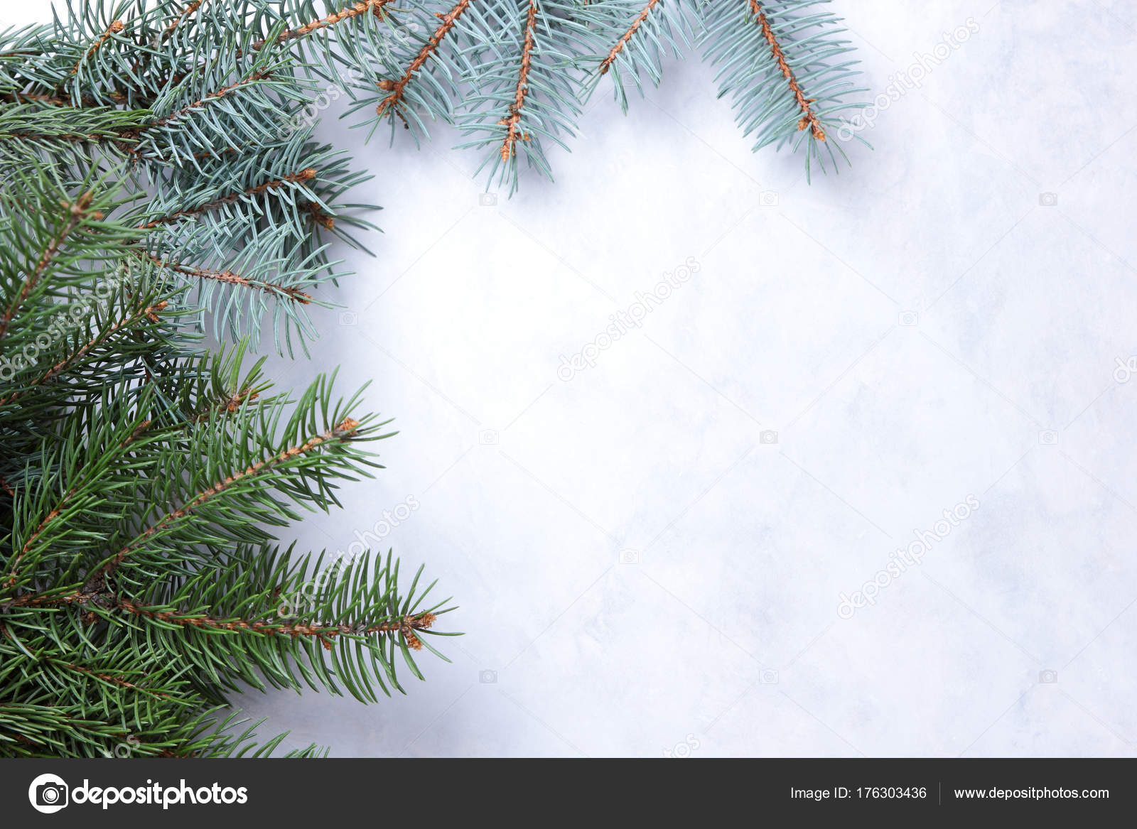 Christmas Green Branches Christmas Tree White Background Natural Stock Photo by ©Lazartivan