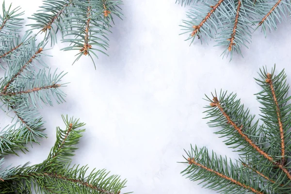 Weihnachten Grüne Zweige Weihnachtsbaum Auf Weißem Hintergrund Weihnachtlicher Hintergrund Natürliches — Stockfoto