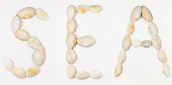 Sea, the word sea laid out of sea shells, isolated word minimalism, a symbol of the sea from seashells, art