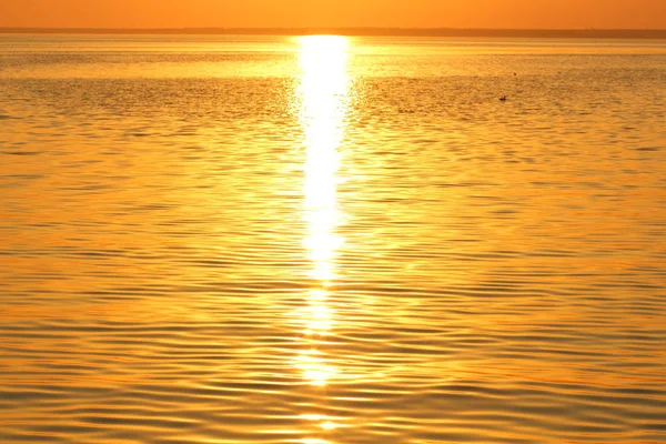 Orange sun over the sea horizon, beautiful sunset, copy space, landscape with a big sun, bloody horizon above the water surface, blank for the designer, orange pattern