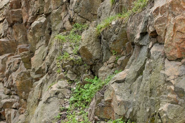 Granitfelsen Mit Verwerfungen Hintergrund Alter Steine Zerstörung Einer Granitmauer Ökologische — Stockfoto