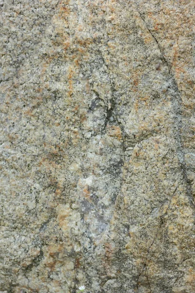 Természetes Gránit Szerkezet Gránit Minta Háttér Foltos Gránit Magmás Kőzet — Stock Fotó