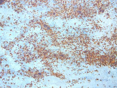 Paslı yüzey, soyut kahverengi doku arka plan eski saç, desen paslı tasarımcı, minimalist arka planı için