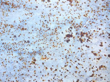 Paslı yüzey, soyut kahverengi doku arka plan eski saç, desen paslı tasarımcı, minimalist arka planı için