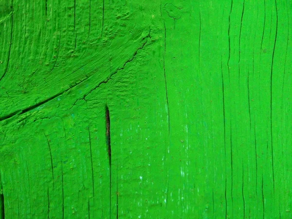 Texture of a wooden green surface, abstract green background of a dyed wood, colored natural pattern for a designer, minimalistic background