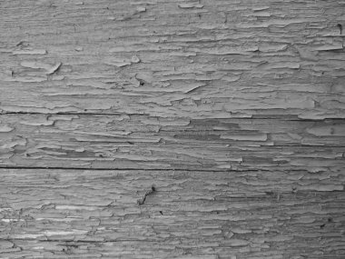 Beyaz ahşap yüzey, soyut beyaz bir arka plan bir eski boyalı ağaç, beyaz doğal desen için bir tasarımcı, minimalist arka plan dokusu