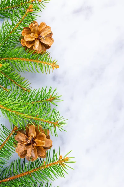 Weihnachtsrahmen Mit Tannenzweigen Und Tannenzapfen Auf Weißem Hintergrund Weihnachtsrahmen Aus — Stockfoto