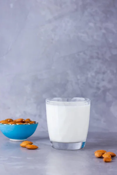Almond milk with almond on gray background. Homemade organic almond milk in a glass for healthy breakfast. Vegan milk from almonds nuts on a cement. Alternative milk. Top view. Copy space