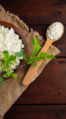 Ahşap tahtalardaki süzme peynir. Seramik kasede taze süzme peynir ve yeşil yapraklar. Çuval bezinde yumuşak peynir ve tahta kaşık. Üst Manzara. Boşluğu kopyala