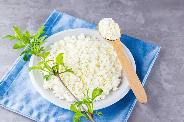 Cottage cheese in a white plate on a gray background. Soft cheese and wooden spoon on cement. Cottage cheese and branch with green leaves on a blue napkin. Top view. Copy space