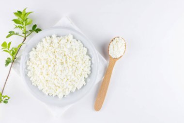 Beyaz arka planda beyaz tabakta süzme peynir. Yumuşak peynir ve tahta kaşık. Beyaz peçetede yeşil yapraklı süzme peynir ve dal. Üst Manzara. Boşluğu kopyala