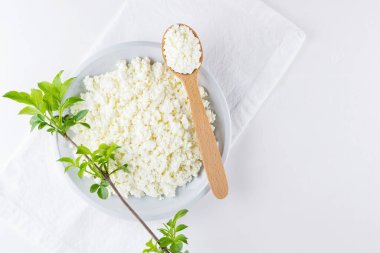 Beyaz arka planda beyaz tabakta süzme peynir. Yumuşak peynir ve tahta kaşık. Beyaz peçetede yeşil yapraklı süzme peynir ve dal. Üst Manzara. Boşluğu kopyala