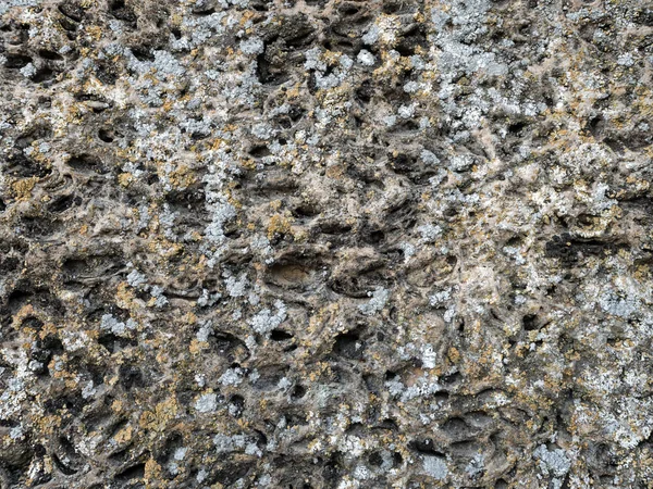 Πέτρα Υφή Γκρι Και Μπεζ Βρύα Closeup — Φωτογραφία Αρχείου