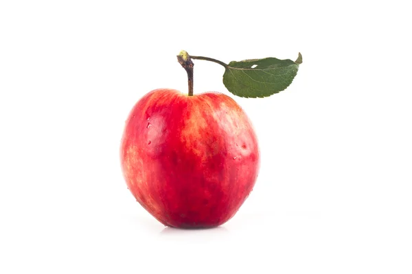 Μήλα με τα φύλλα σε λευκό φόντο — Φωτογραφία Αρχείου