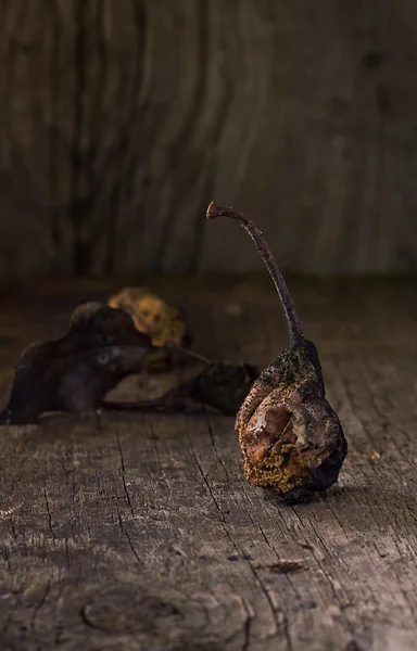 Terrible dried pear — ストック写真