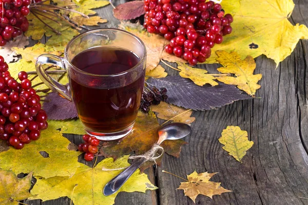 Herfst thee met bessen van de viburnum — Stockfoto