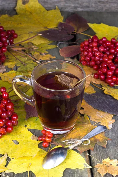 Jesień herbata z jagody Kaliny — Zdjęcie stockowe
