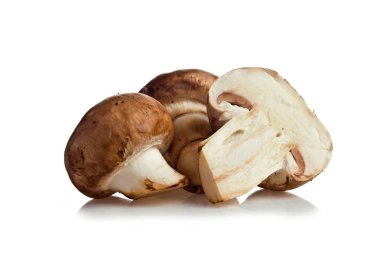 Beyaz arkaplanda mantarlar