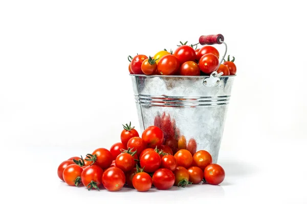 バケツのトマト — ストック写真
