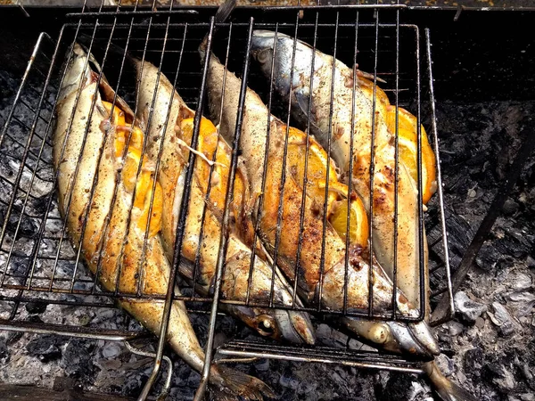 kömür ızgara ızgara balık