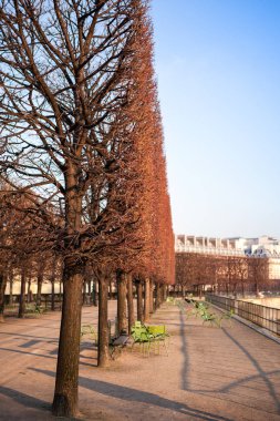 Paris'te romantik sonbahar.