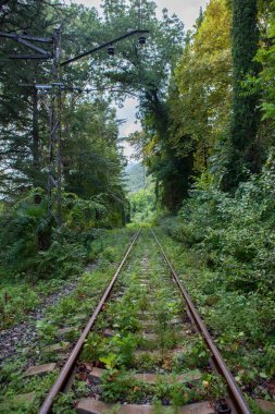 Yeşil bir kalın ormanda eski demiryolu parça