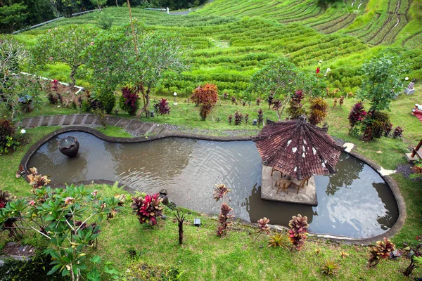 Lago artificial con terrazas de pescado y arroz en el fondo de la selva, exuberante vegetación tropical, Bali Indonesia — Foto de Stock