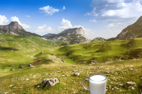 Kubek mleka na trawie w górach. — Zdjęcie stockowe
