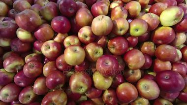 El Kırmızı elma içinde belgili tanımlık stok alır.