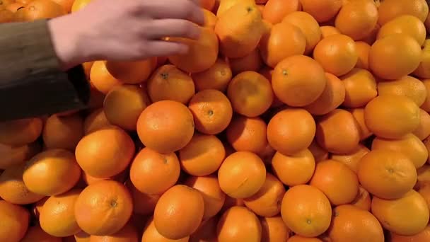 Persona compra naranjas en el mercado. Primer plano de la mano . — Vídeos de Stock