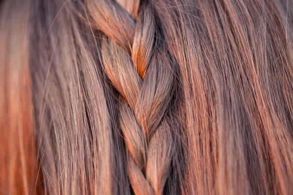 Concetto acconciatura. Retrovisore Ragazza con bella coiffure. Texture di capelli . — Foto Stock