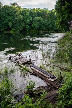 Ormandaki tahta köprü.