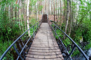 Parktaki asma köprü.