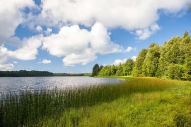 Bir nehir, ağaçlar, çiçekli bitkiler güneşli havalarda, yaz yatay