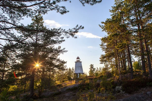 Régi világítótorony, az erdőben — Stock Fotó
