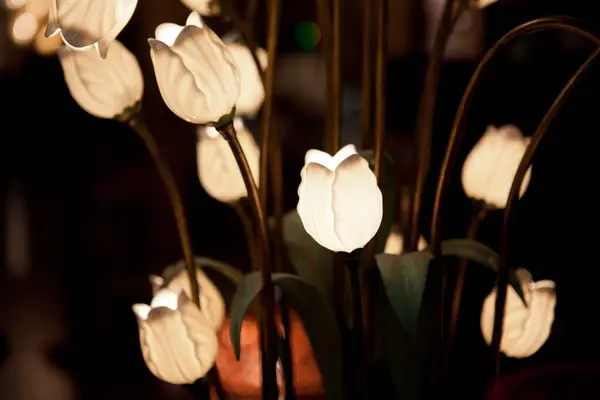 Lampada elettrica notturna a forma di fiore — Foto Stock