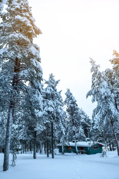 Casa de madeira aconchegante na floresta escura do inverno — Fotografia de Stock